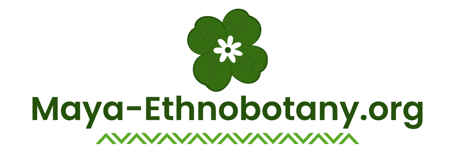maya-ethnobotany.org logo